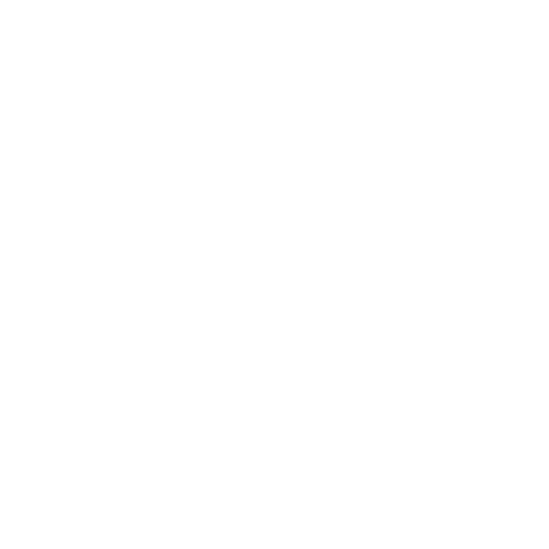 Fast Shipping Icon