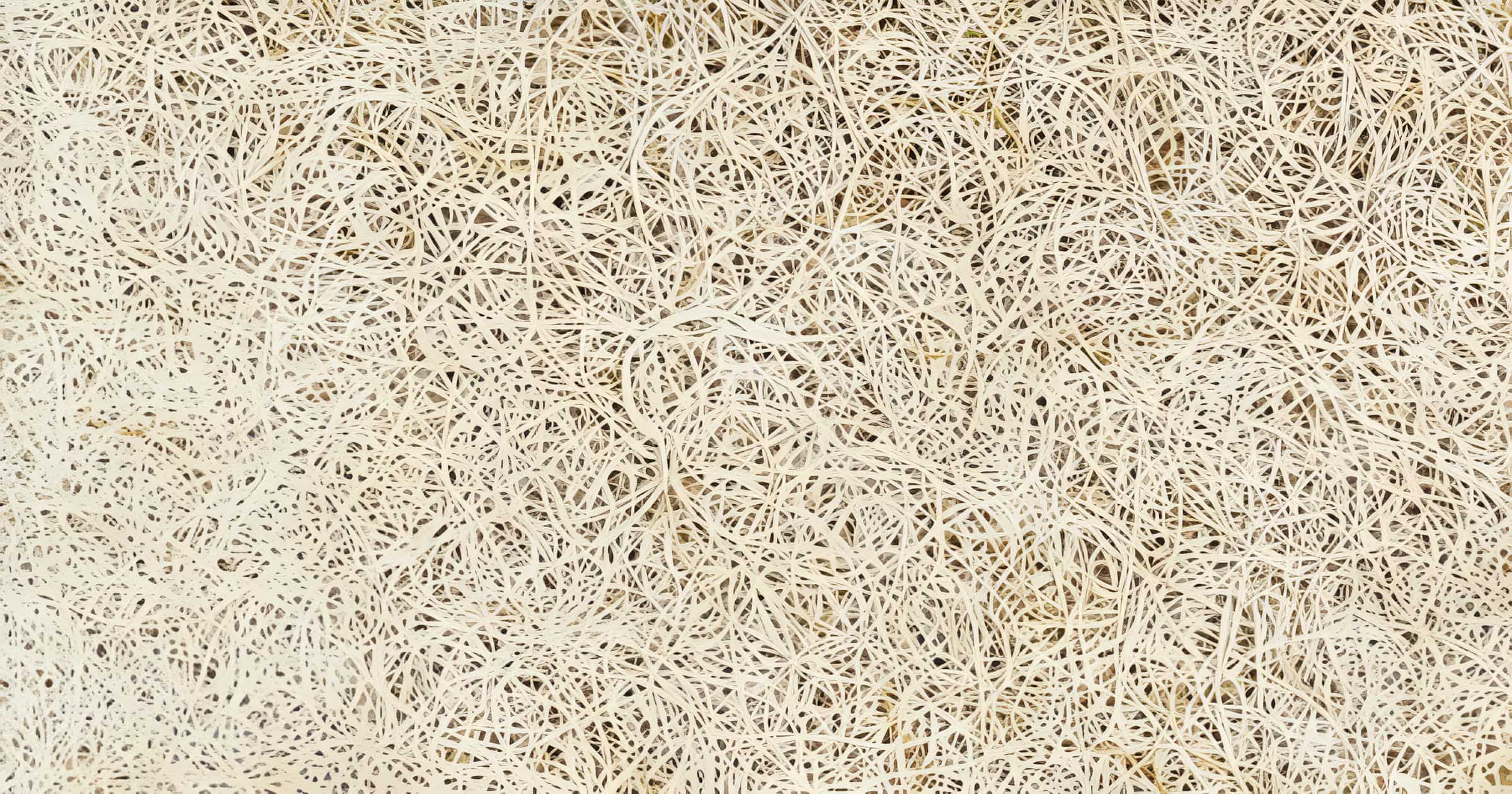 Closeup of Tectum I roof deck material